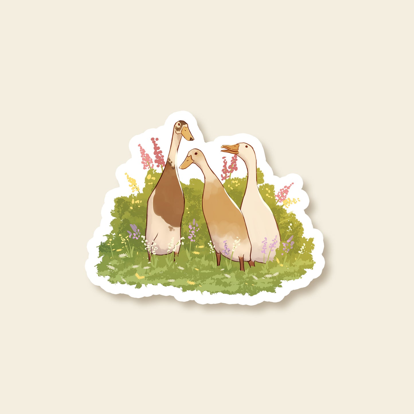 Runner Ducks - Sticker