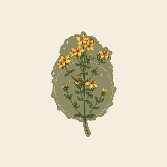 St John's wort - Sticker